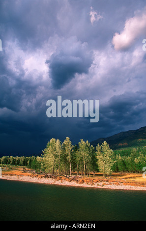 Elk River a Morrisey, vicino al Fernie, British Columbia, Canada. Foto Stock