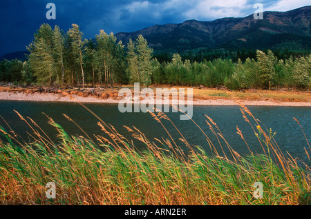 Elk River a Morrisey, vicino al Fernie, British Columbia, Canada. Foto Stock