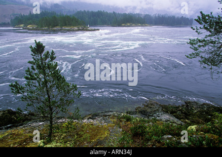 Skookumchuck si restringe Parco Provinciale nei pressi di Egmont, Sechelt Penisola, British Columbia, Canada. Foto Stock