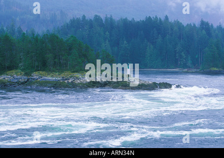 Skookumchuck si restringe Parco Provinciale nei pressi di Egmont, Sechelt Penisola, British Columbia, Canada. Foto Stock