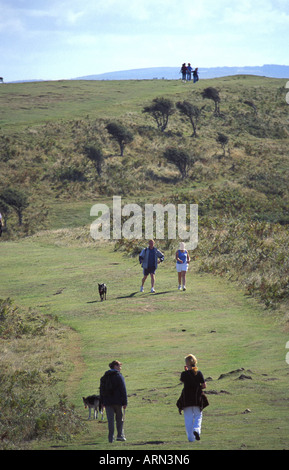 I camminatori con cani su Brean giù parte della Severn Estuary area protetta Foto Stock