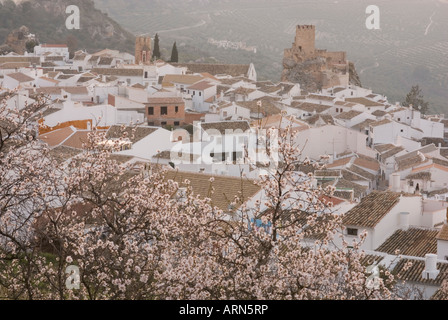 Zuheros villaggio in Andalusia, Spagna con fiore di mandorla Foto Stock