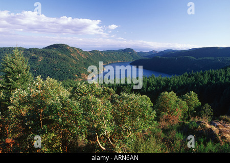 Vista di Finlayson braccio dalla parte superiore del Malahat Drive, Isola di Vancouver, British Columbia, Canada. Foto Stock