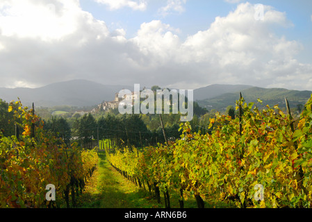 La città rinascimentale di Monterchi Toscana in Italia cielo blu sopra i vigneti circostanti Foto Stock