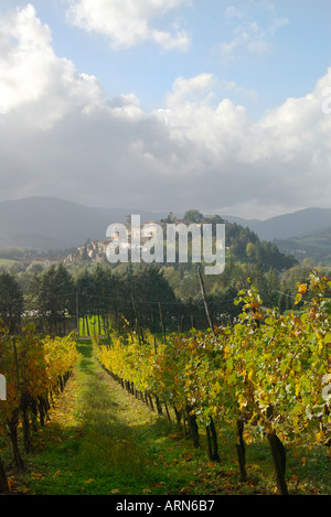 La città rinascimentale di Monterchi Toscana in Italia cielo blu sopra i vigneti circostanti Foto Stock