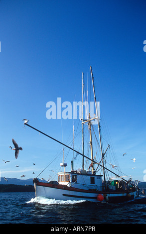 Shrimper commerciale nelle isole del golfo, British Columbia, Canada Foto Stock