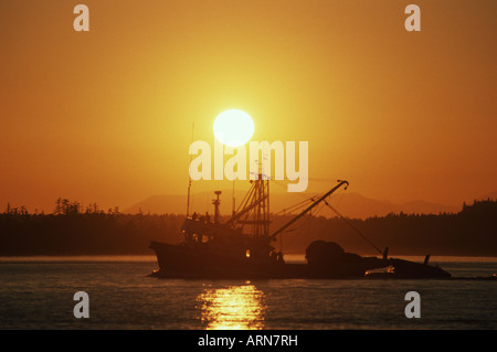 Isola di Vancouver fishboat commerciale nel tramonto, British Columbia, Canada Foto Stock