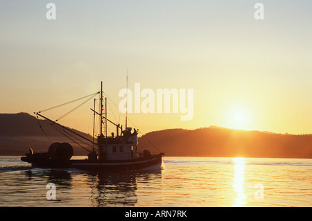 Isola di Vancouver fishboat commerciale nel tramonto, British Columbia, Canada Foto Stock