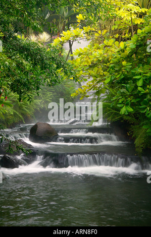 Flusso che scorre attraverso il Tabacon Hot Spring Resort e Spa Costa Rica Foto Stock