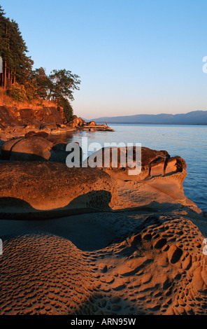 Hornby isola nelle isole del golfo, arenaria seashore con modelli di erosione, Ford Cove, British Columbia, Canada. Foto Stock