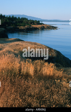 Isole del golfo, Hornby Isola, Helliwell Park, British Columbia, Canada. Foto Stock