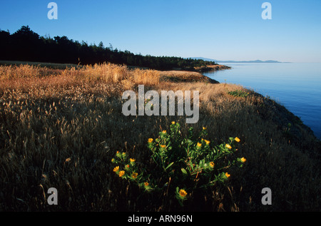 Hornby isola in isole del golfo, Helliwell Park, British Columbia, Canada. Foto Stock