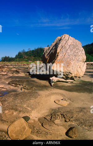 Hornby isola nelle isole del golfo, arenaria seashore con modelli di erosione, Heron rocce, vicino a Ford Cove, British Columbia, Canada. Foto Stock