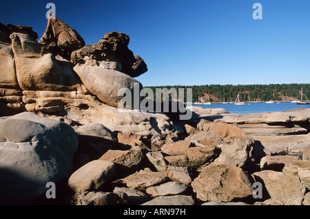 Hornby isola nelle isole del golfo, arenaria seashore con modelli di erosione, Tribune Bay, l'isola di Vancouver, British Columbia, Canada Foto Stock