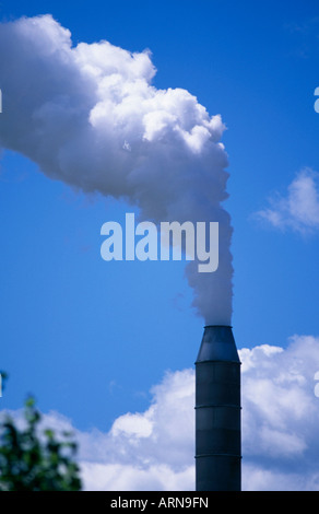 Flutti di fumo dalla pila, British Columbia, Canada. Foto Stock