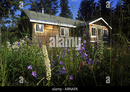 Giapponese vecchio internamento cabin ristrutturato, West Kootenays, Nuova Denver, British Columbia, Canada. Foto Stock