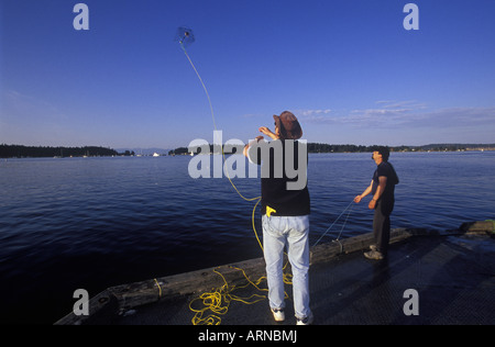 Porto di Nanaimo con persone attraversando ponte per flottazione pubblica, l'isola di Vancouver, British Columbia, Canada. Foto Stock