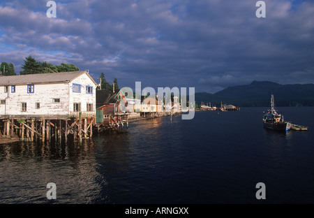 Alert Bay, Isola di cormorani, Cannery Row, Isola di Vancouver, British Columbia, Canada. Foto Stock