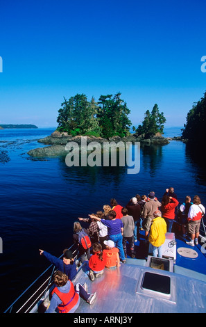 Telegraph cove base whale watching / Tour della natura da barca LINEE M.T. Lukwa, Isola di Vancouver, British Columbia, Canada. Foto Stock