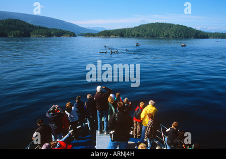 Telegraph cove base whale watching / Tour della natura da barca LINEE M.T. Lukwa, Isola di Vancouver, British Columbia, Canada. Foto Stock