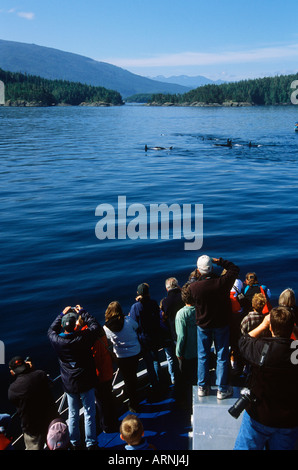 Telegraph cove base whale watching / Tour della natura da barca LINEE M.T. Lukwa, Isola di Vancouver, British Columbia, Canada. Foto Stock