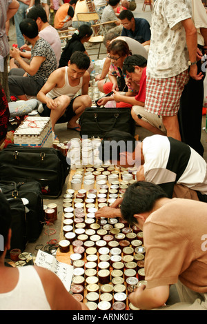 Combattimenti grilli vengano venduti al pesce, bird e mercato di insetto a Shanghai in Cina Foto Stock