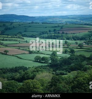 Devon misti terreni agricoli con piccoli campi di siepi e alberi vicino Axminster Foto Stock