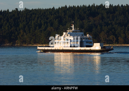 BC Ferry nelle acque della Georgia Strait, British Columbia, Canada. Foto Stock