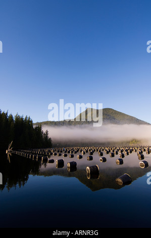 Oyster farm su Lemmens ingresso, Tofino, Clayoquot Sound, Isola di Vancouver, British Columbia, Canada. Foto Stock