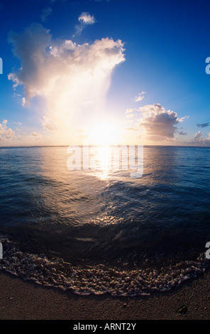 Isole di Cook, South Pacific Raratonga, spiaggia al tramonto Foto Stock