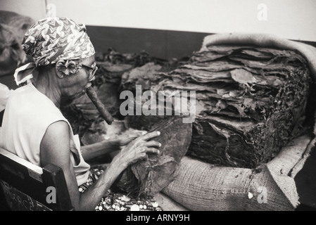 Cuba, La Habana, donna cubana fuma un sigaro durante il rotolamento delle foglie di tabacco per fare sigari. Foto Stock