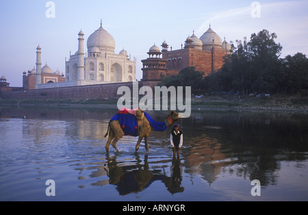 India, Uttar Pradesh, Agra il Taj Mahal, costruito da Shah Jahan, completato 1653. La riflessione nel fiume Yamuna con il cammello e il conducente Foto Stock