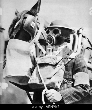 Blitz animale servizio ARP nel 1940 in Inghilterra con una maschera a gas per il cavallo come pure l'operaio Foto Stock