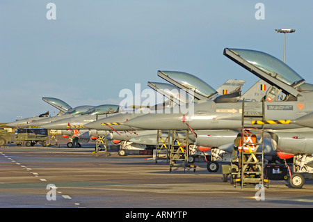 General Dynamics F-16 Fighting Falcon Foto Stock