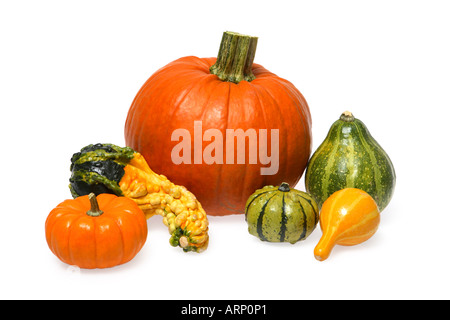 Diverse varietà di zucche e zucche Foto Stock