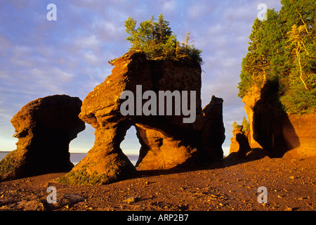 Le rocce Hopewell Cape Baia di Fundy New Brunswick Canada Foto Stock
