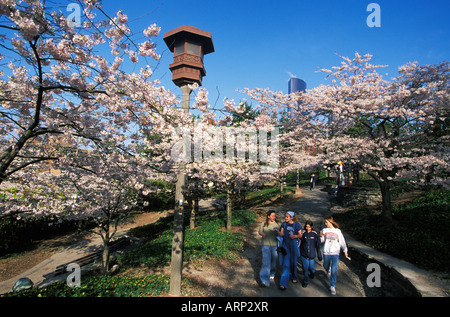 Stati Uniti d'America, nello Stato di Washington, Seattle giardini giapponesi con fiori di primavera Foto Stock