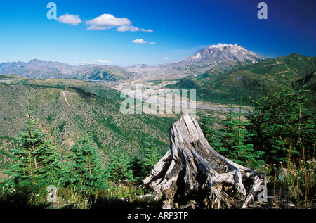 Stati Uniti d'America, nello Stato di Washington, Monte St Helens, zona di erosione vicino al cratere Foto Stock