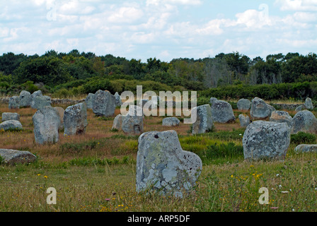 Grandi rocce di granito a Carnac Brittany Foto Stock