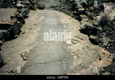 Ala Kahakai National Historic Trail (King's Trail) mentre passa attraverso il sito di petroglifici a Waikoloa Resort, Big Island, Hawaii, USA. Foto Stock