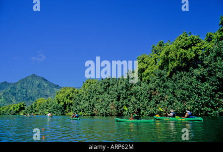 Tour Kayakers Hanalei fiume a Kauai Foto Stock