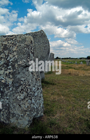 Grandi rocce di granito a Carnac Brittany Foto Stock