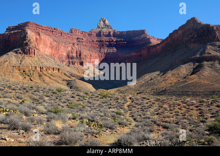 CLEAR Creek Trail vicino al tempio di Zoroaster anfiteatro all'interno del GRAND CANYON NEL PARCO NAZIONALE DEL GRAND CANYON ARIZONA USA Foto Stock