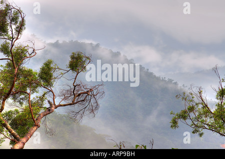 Alberi e montagne nella contea di YiLan Taiwan Foto Stock