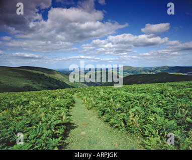 La lunga MYND sopra la cardatura Mill Valley Church Stretton CAER CARADOC IN BACKGROUND SHROPSHIRE REGNO UNITO Foto Stock