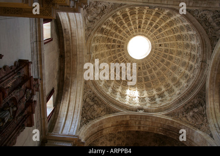 Soffitto a Sagrario chiesa parrocchiale a cattedrale Giralda di St Mary Siviglia Andalusia Spagna Foto Stock