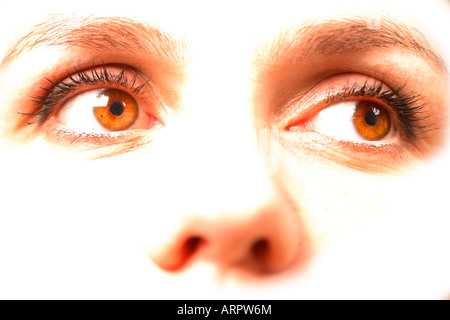 facciale primi piani Foto Stock