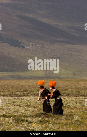 Litang Horse Festival, Sichuan, altopiano Tibetano, Cina Foto Stock