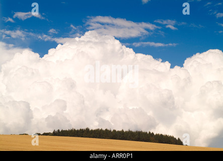 Drammatico colpo di nuvola bianca della formazione in un profondo cielo blu e nuvole di cielo blu su un campo di mais Foto Stock