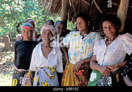 AFRICA KENYA KALIFI donne keniane s Dairy Co componenti operativi incontro per discutere la ricezione di Progetto di giovenca vacche Foto Stock